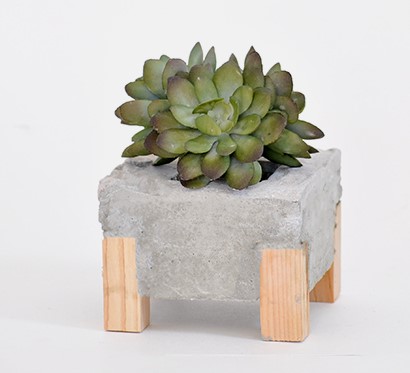 Small concrete planter with wooden legs and succulent