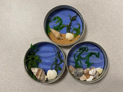 Image of three ocean shadowbox magnets