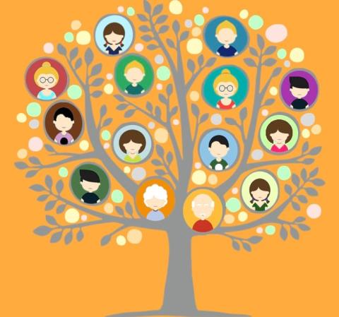 family tree illustration