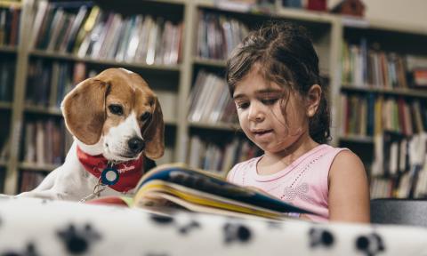 child reading to a dog