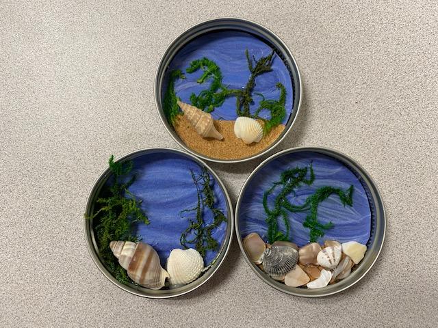 Image of three ocean shadowbox magnets